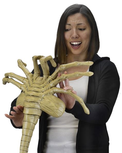 kgfacehuggers